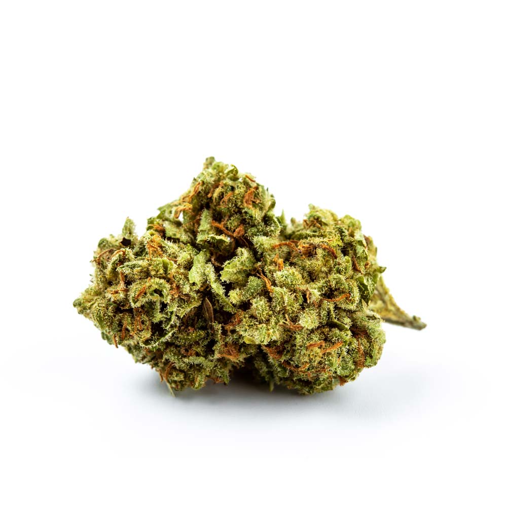 Cannabis Sorte Shop Apotheke Orange Bud Klassiker