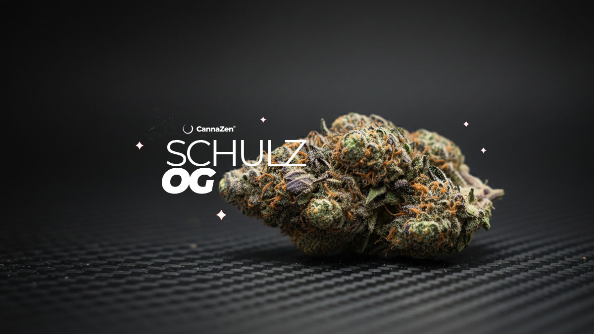Florida Kush: Sorte, Aroma & THC Gehalt