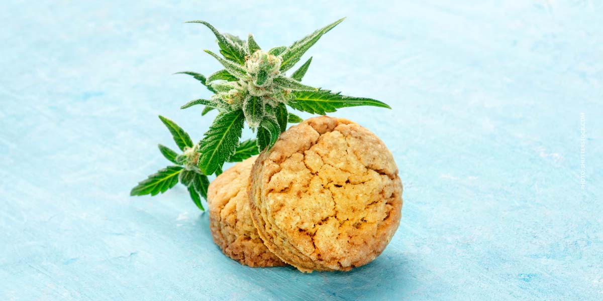 Cannabis bei Verdauungsproblemen: Linderung, Darm & Forschung