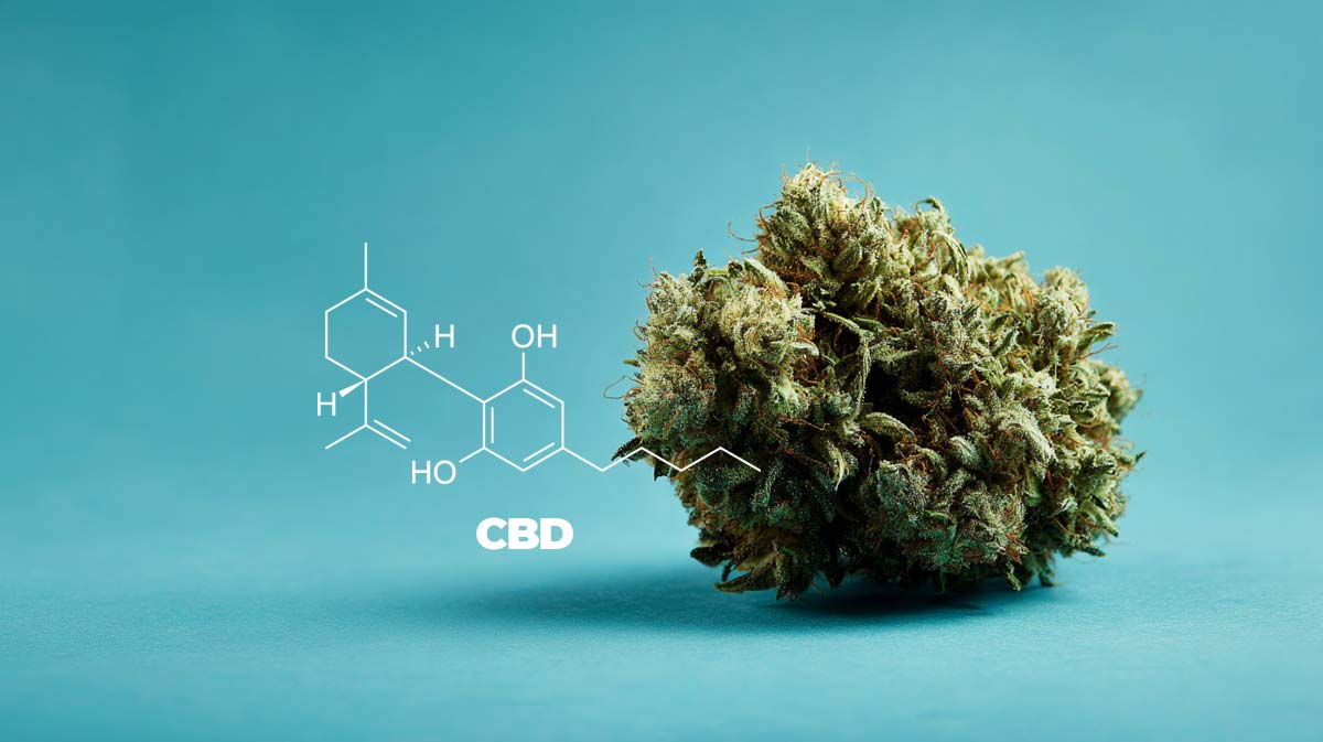Dank Wafers: Sorte, Wirkung, Aroma & THC Anteil