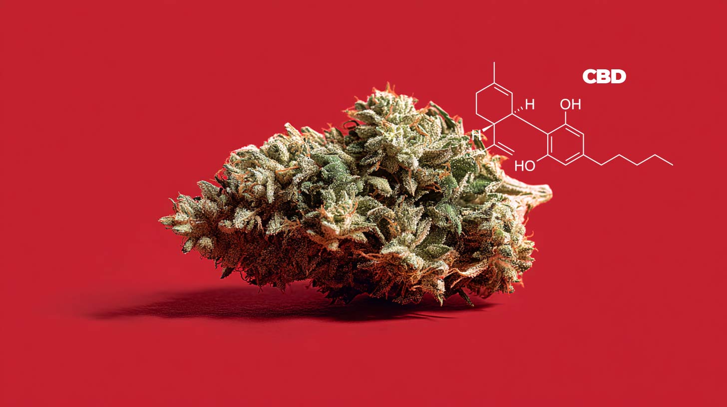 THC-Toleranz und Neuroadaptation: Anpassung, Gehirn & Langzeitwirkung